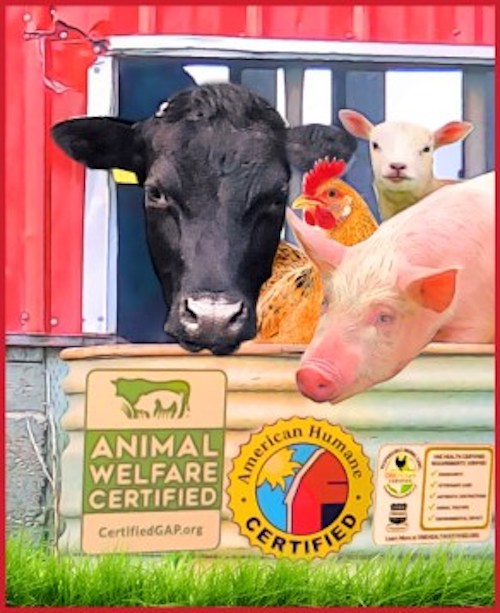 certified humane slaughter