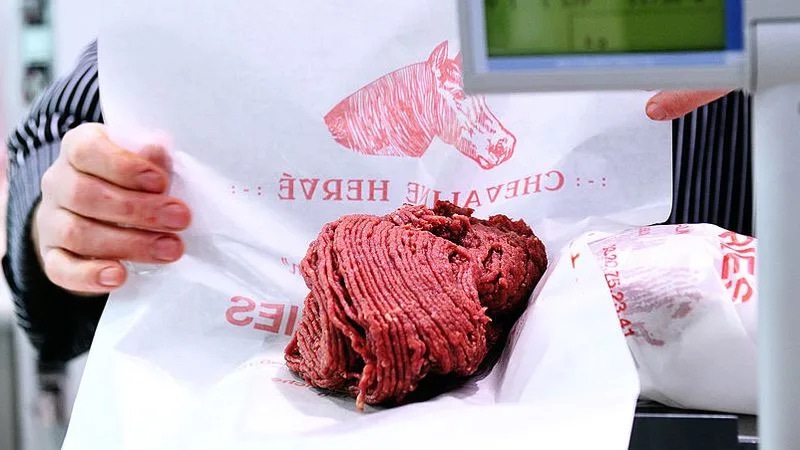 horse meat '