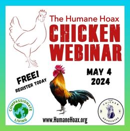 hoax webinar