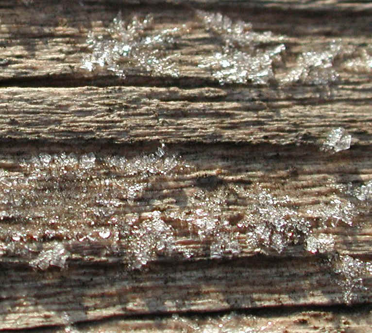 Frost: The Jewels of Winter - 12b