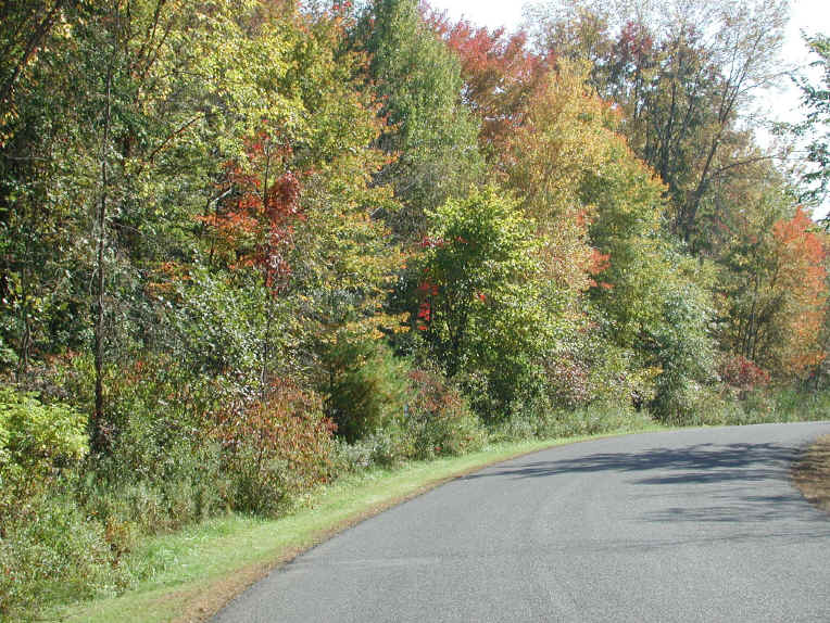 Leaf Peeper's Dream - 2003 - 08