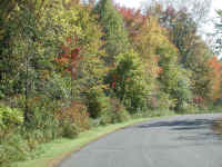Leaf Peeper's Dream - 2003 - 08