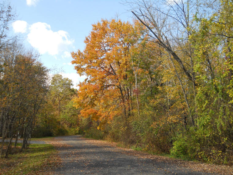 Autumn Colors - Leaf Peeper's Dream - 17 Oct 2011 - 06