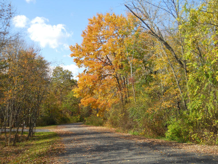 Autumn Colors - Leaf Peeper's Dream - 17 Oct 2011 - 07
