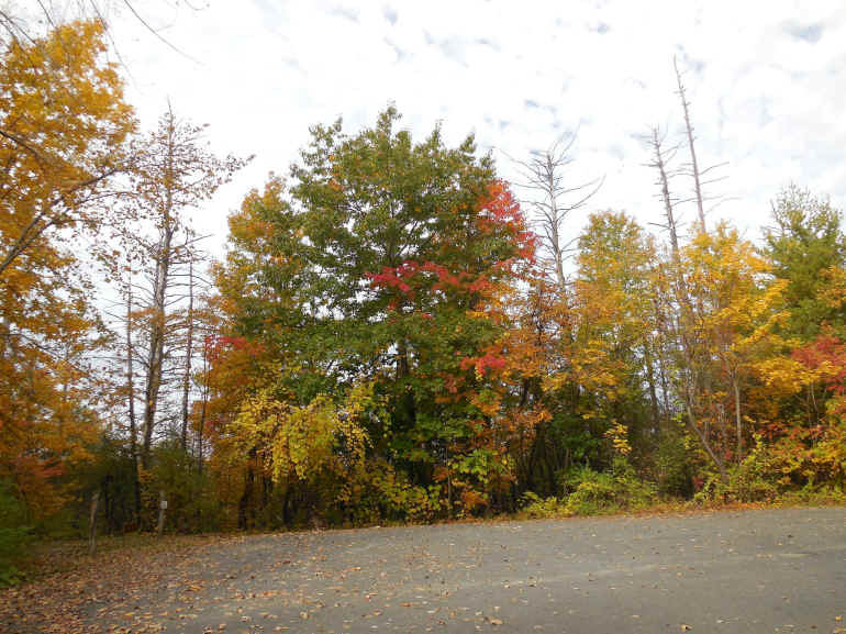 Leaf Peeper's Dream - 13 Oct 2015 - 01