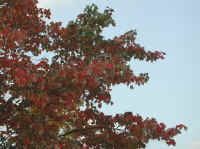 Photo - 02.jpg