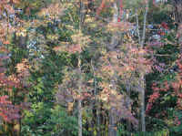 Photo - 07.jpg