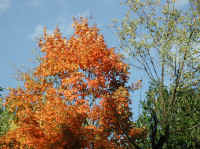 Photo - 08.jpg