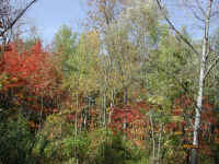 Photo - 11.jpg