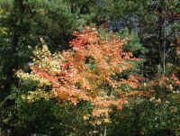 Photo - 12.jpg