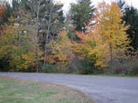 Photo - 15.jpg