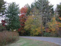 Photo - 16.jpg