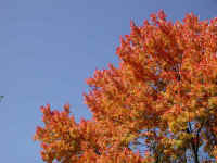 Photo - 01