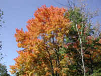 Photo - 02