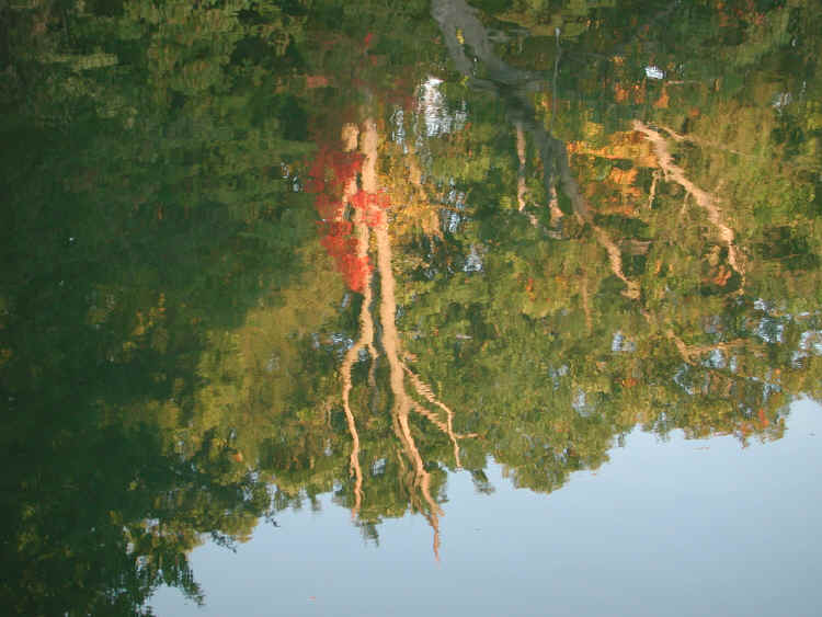 Sleepy Hollow Lake - 10