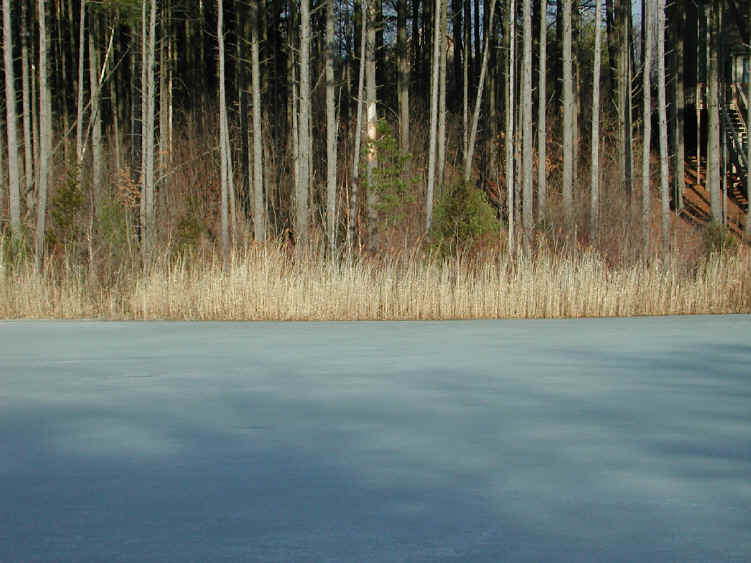 Sleepy Hollow Lake - 02