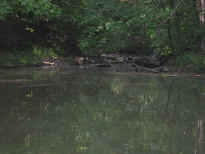 Sleepy Hollow Lake - 04