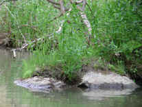 Sleepy Hollow Lake - 05