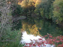 Sleepy Hollow Lake - 07