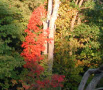 Sleepy Hollow Lake - 08