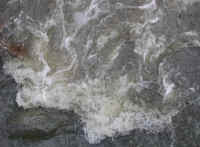 Sleepy Hollow Lake - Murdererskill Ravine - 15