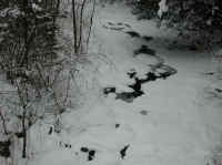 Sleepy Hollow Lake - Murdererskill Ravine - 01