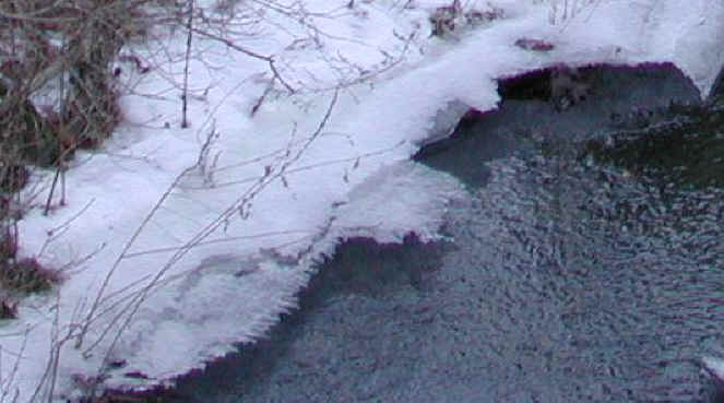 Sleepy Hollow Lake - Murdererskill Ravine - 03a