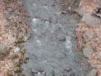 Sleepy Hollow Lake - Murdererskill Ravine - 04