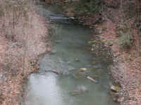 Sleepy Hollow Lake - Murdererskill Ravine - 06