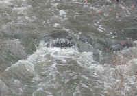 Sleepy Hollow Lake - Murdererskill Ravine - 09b