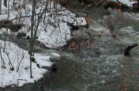 Sleepy Hollow Lake - Murdererskill Ravine - 11