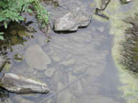 Sleepy Hollow Lake - Murdererskill Ravine - 07