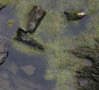 Sleepy Hollow Lake - Murdererskill Ravine - 08b