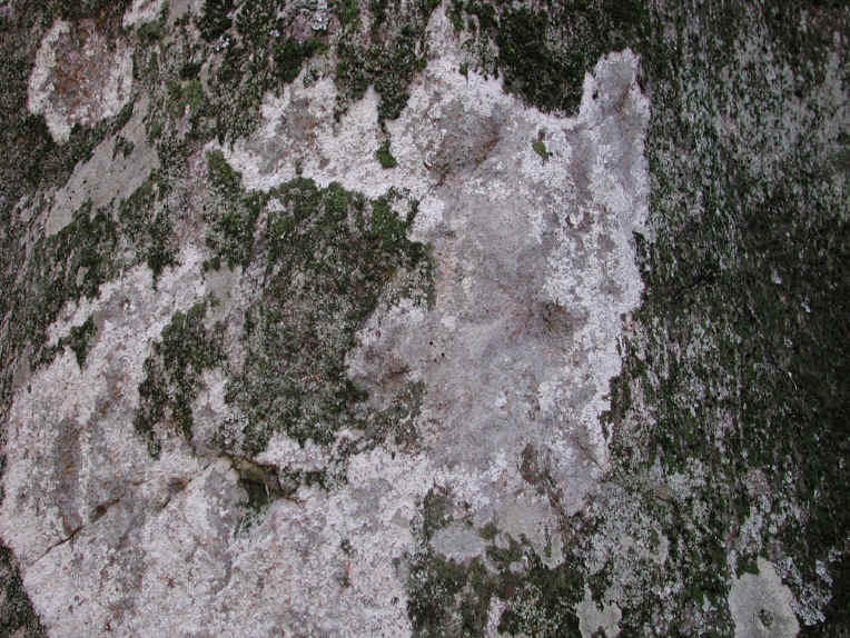 Crabtree Falls - George Washington National Forest - 3 Nov 2005 - 010