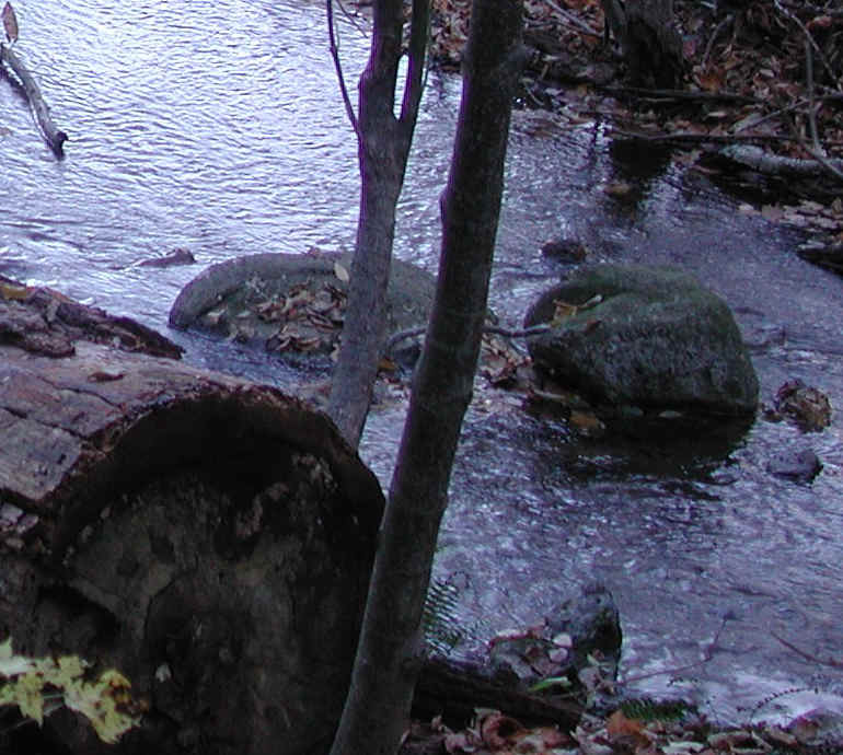 Crabtree Falls - George Washington National Forest - 3 Nov 2005 - 102b