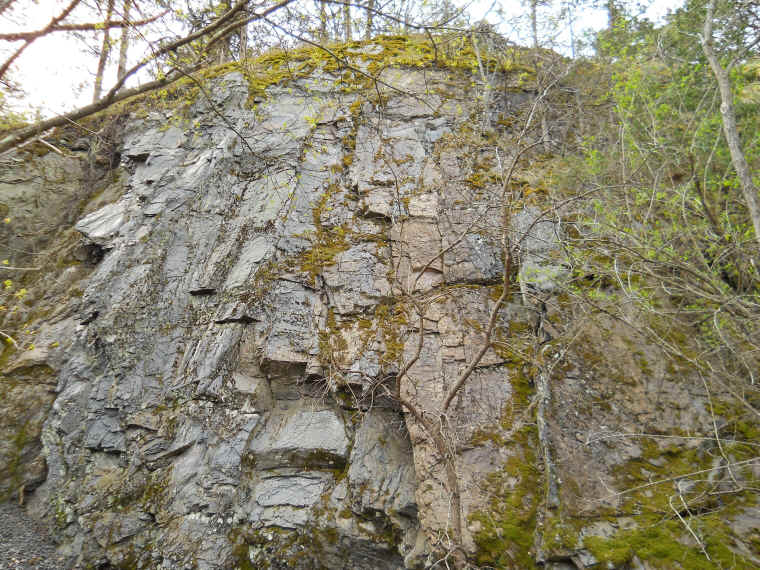 Four Mile Point Preserve - 22 April 2011 - 05