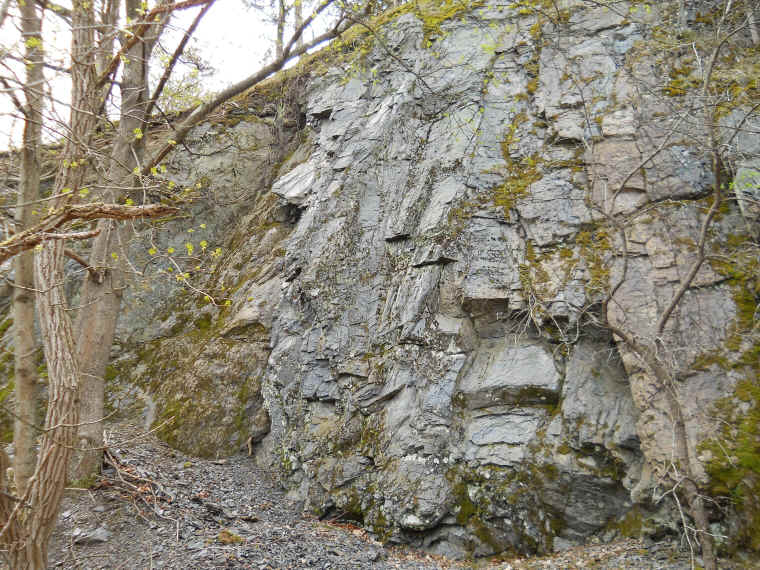 Four Mile Point Preserve - 22 April 2011 - 06