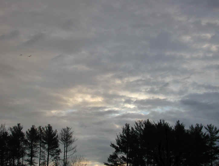 Dawn: A New Day - 4 Jan 2004 - 34