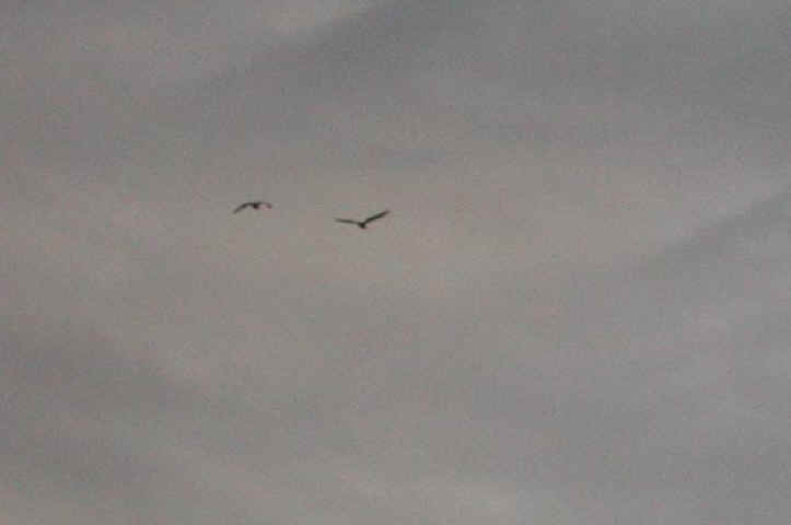 Dawn: A New Day - 4 Jan 2004 - 34a