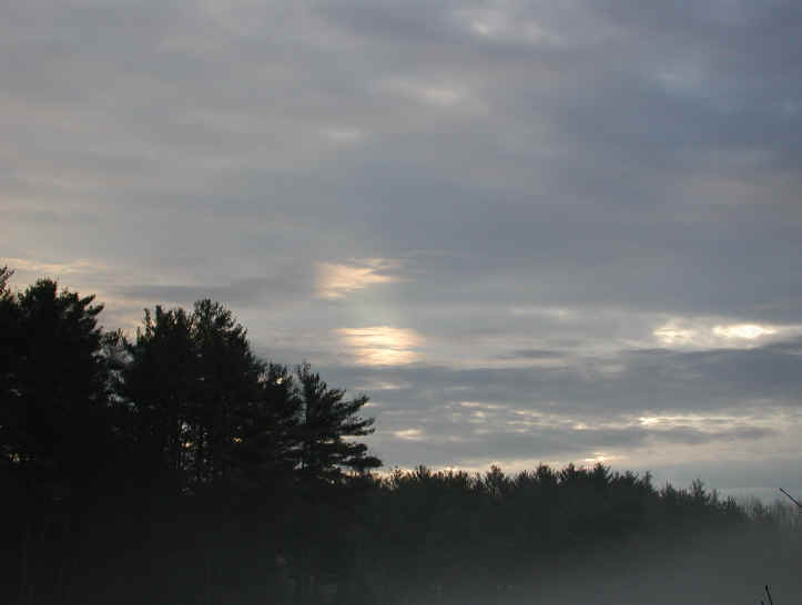 Dawn: A New Day - 4 Jan 2004 - 46