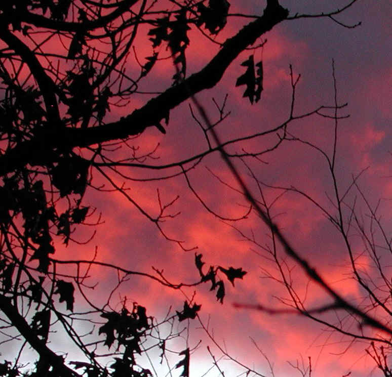 sunrise-20061202-04a