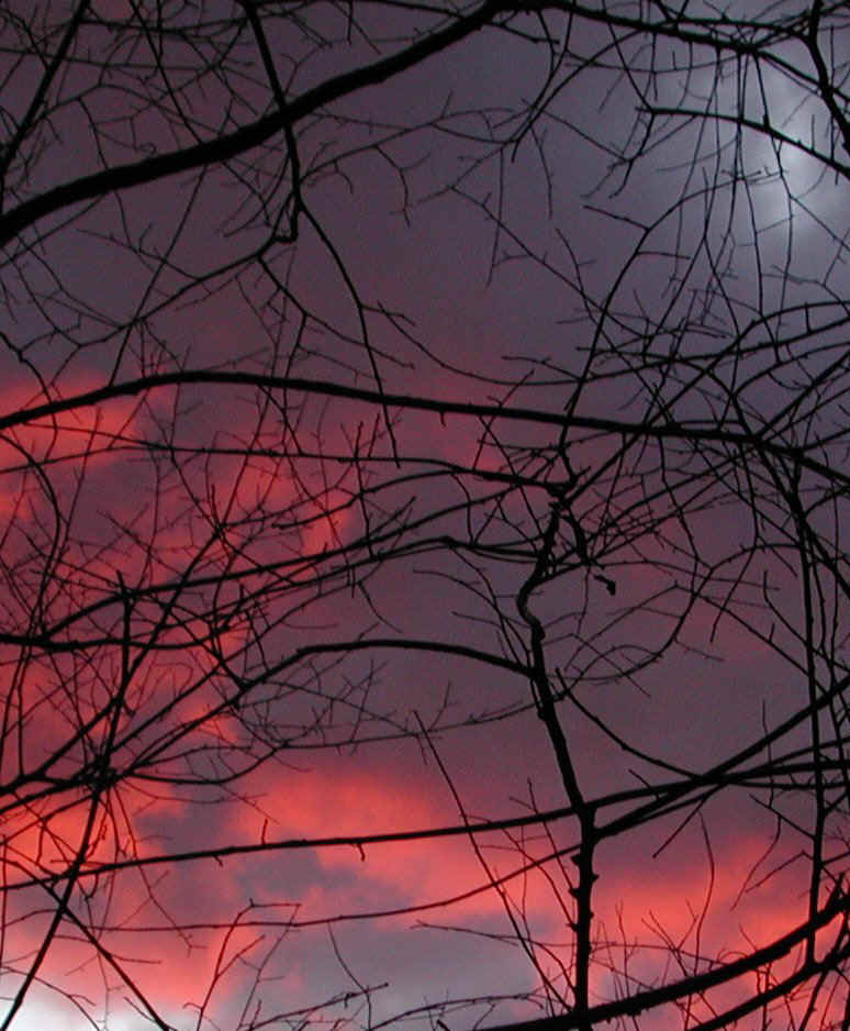 sunrise-20061202-07a