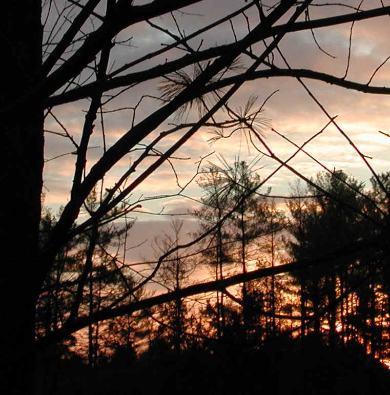 sunrise-20070124-08b