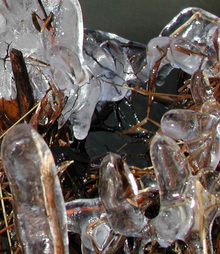Water and Ice - Ice - 3 December 03 - 04a