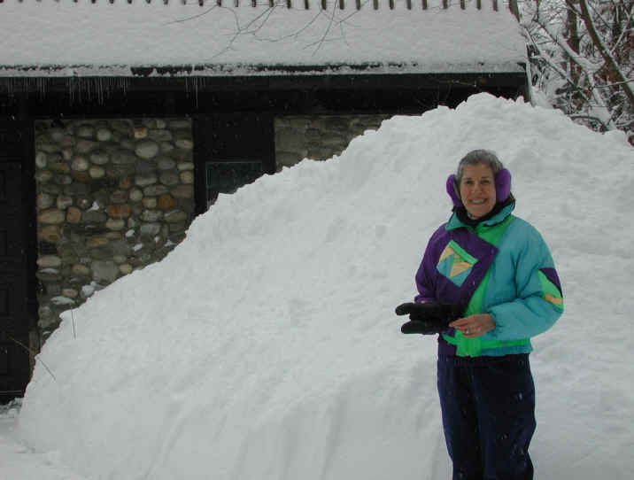 Snows of Winter 2002-3 - January 4th - 02
