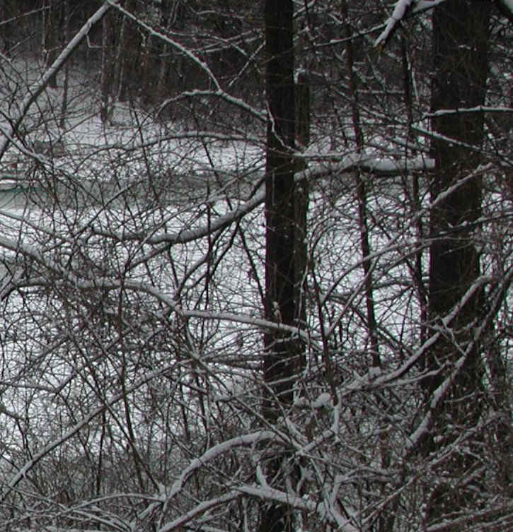 Snows of Winter 2002-3 - April 8th - 01a