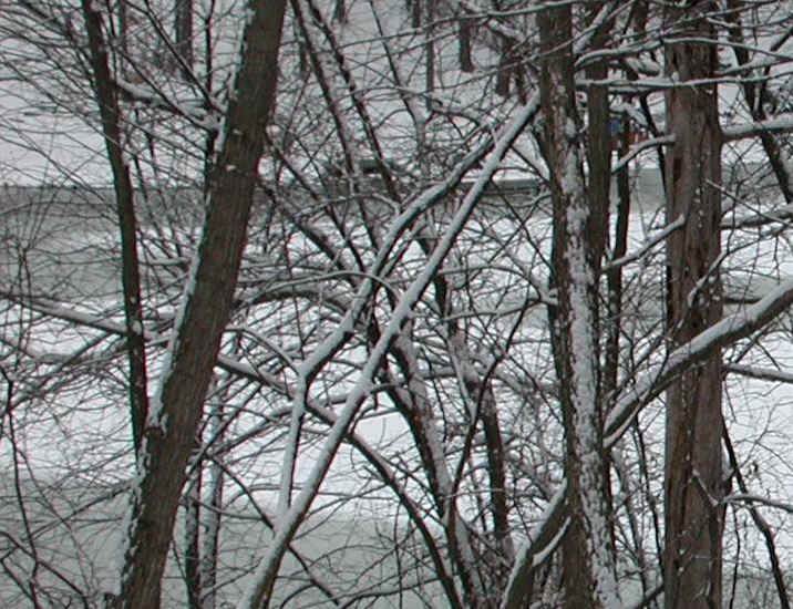 Snows of Winter 2002-3 - April 8th - 01b