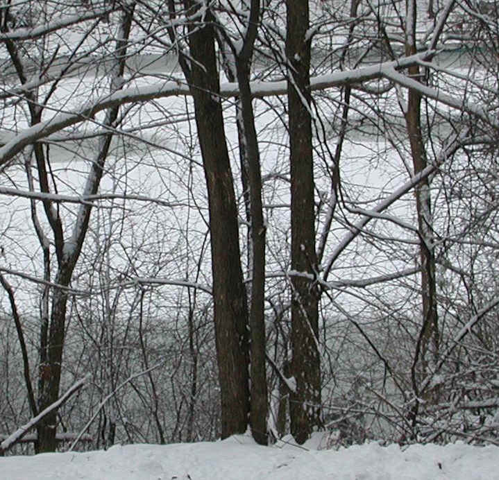 Snows of Winter 2002-3 - April 8th - 01c