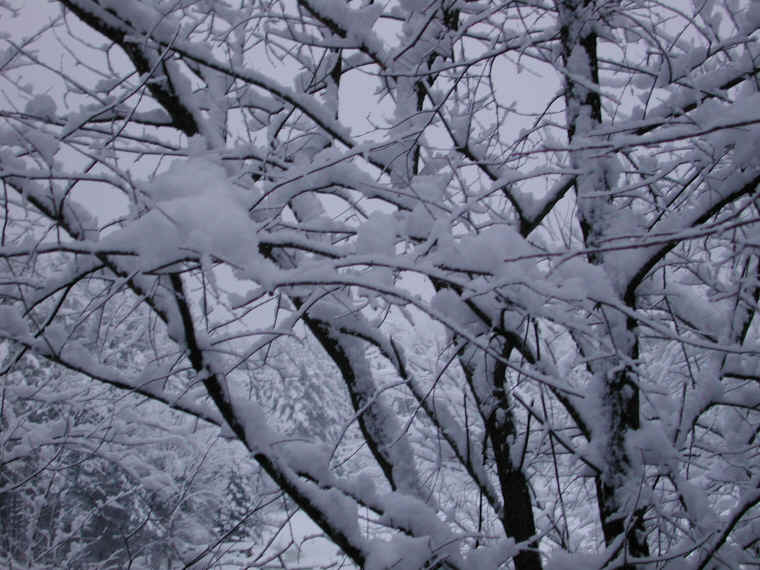 wi-snow-20071231-09
