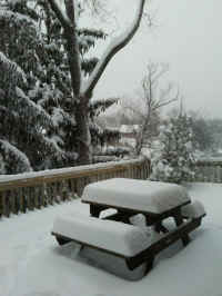 Winter Wonderland 2019-2020 - 001